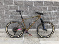 China Carbon hardtail