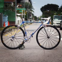 Colnago Master Olympic (blue) photo