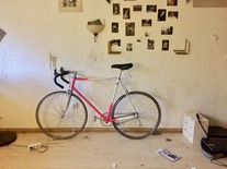 colnago mystery pink photo