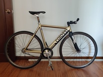 colossi low pro gold paint
