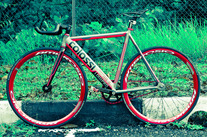 Colossi LOWPRO photo