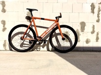 Colossi Lowpro Limited photo