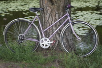 Diana Favorit (my daughter's bike)