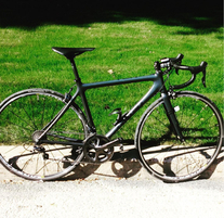 Giant tcr composite0