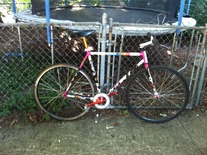 I did it for the fixie goons! photo