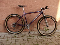 Raleigh M80