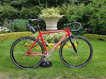 Specialized Langster Pro 56cm photo