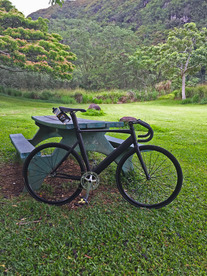 Specialized Langster Pro, Hawaii