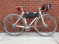 Surly Travelers Check (Phyllis)