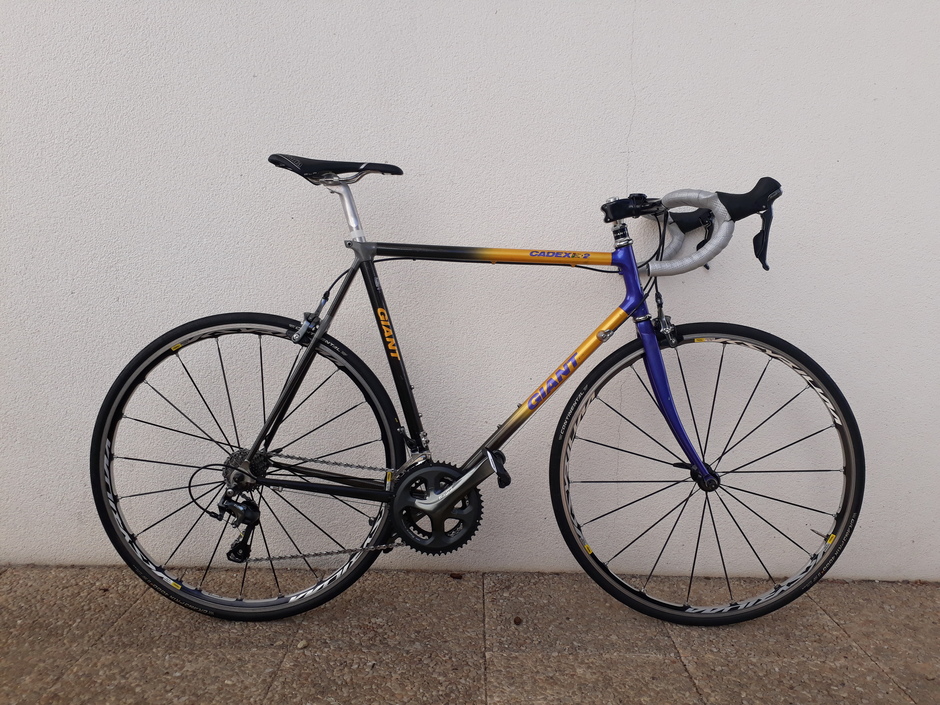 giant cadex