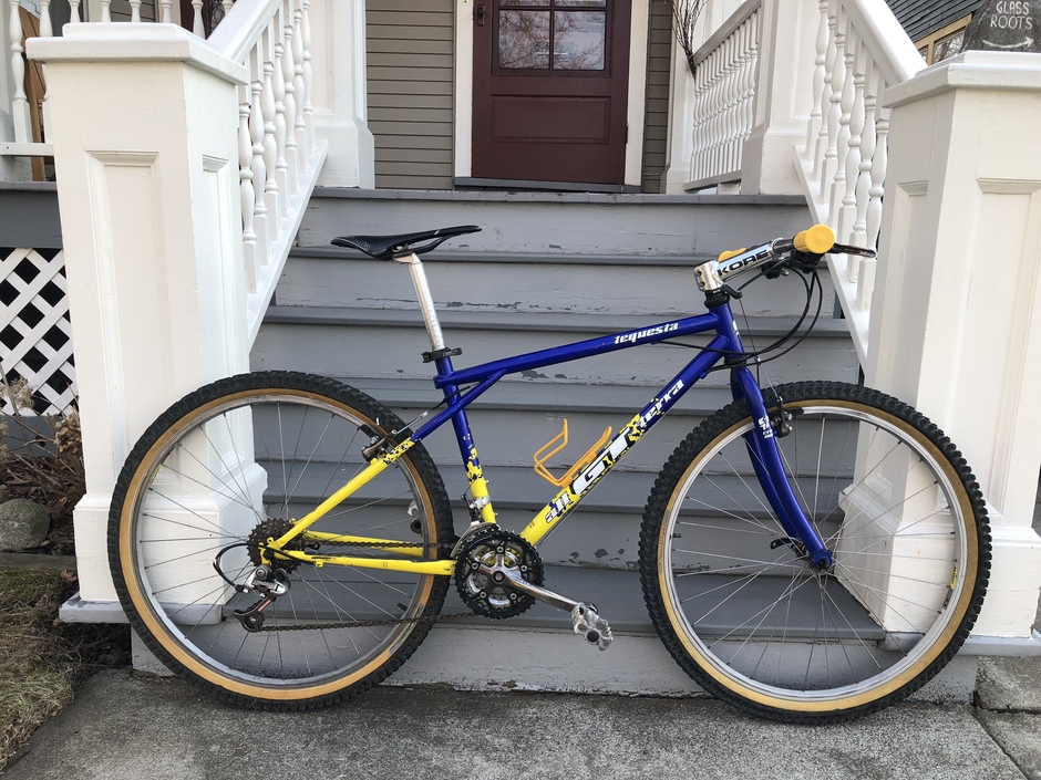 1995 GT Tequesta Team Scream Pedal Room