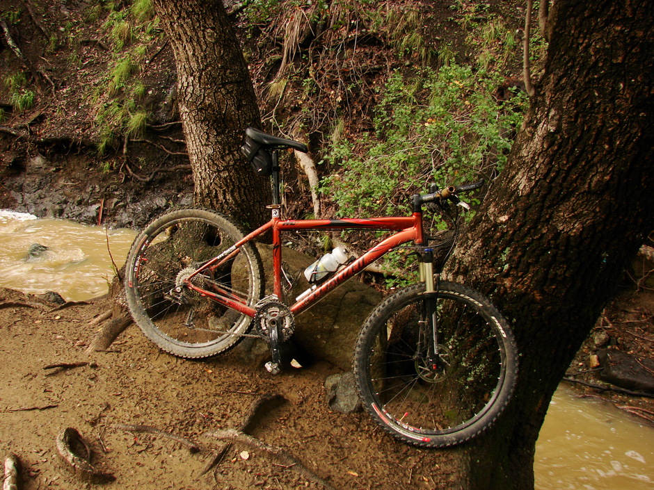 specialized rockhopper 2008