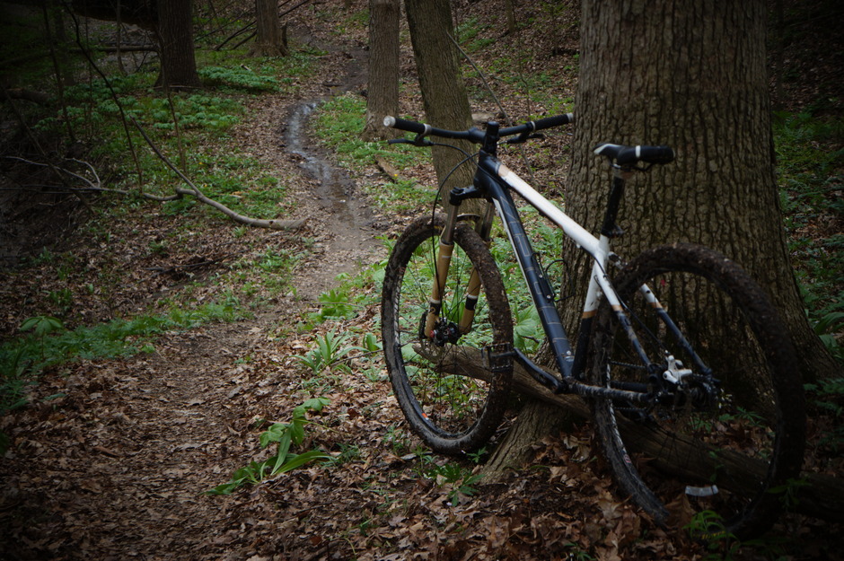 Marlin Singlespeed