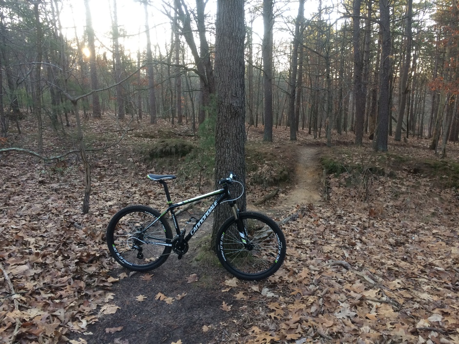 cannondale trail 7 2013