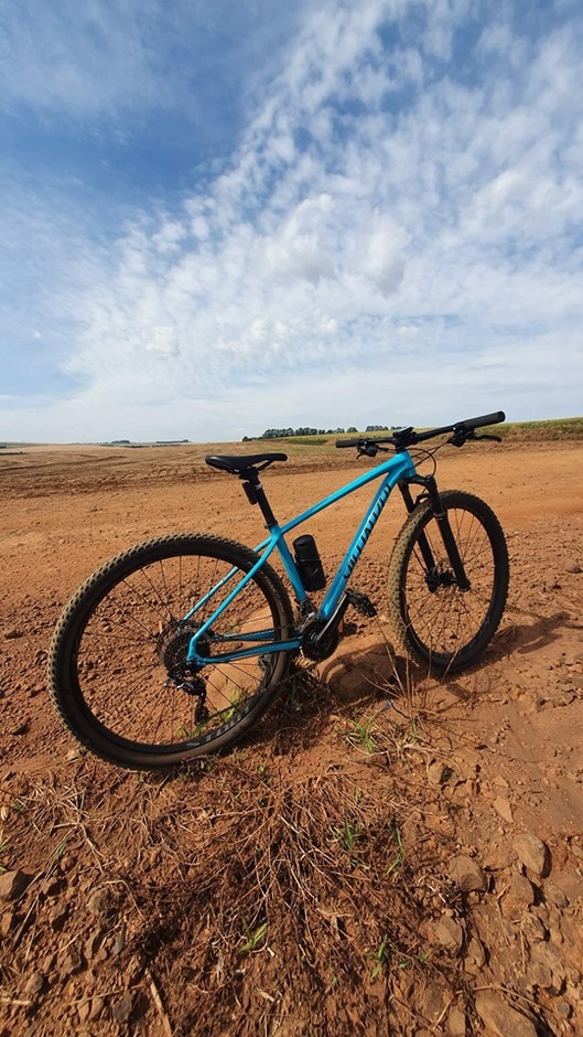 specialized rockhopper pro 2x 2019