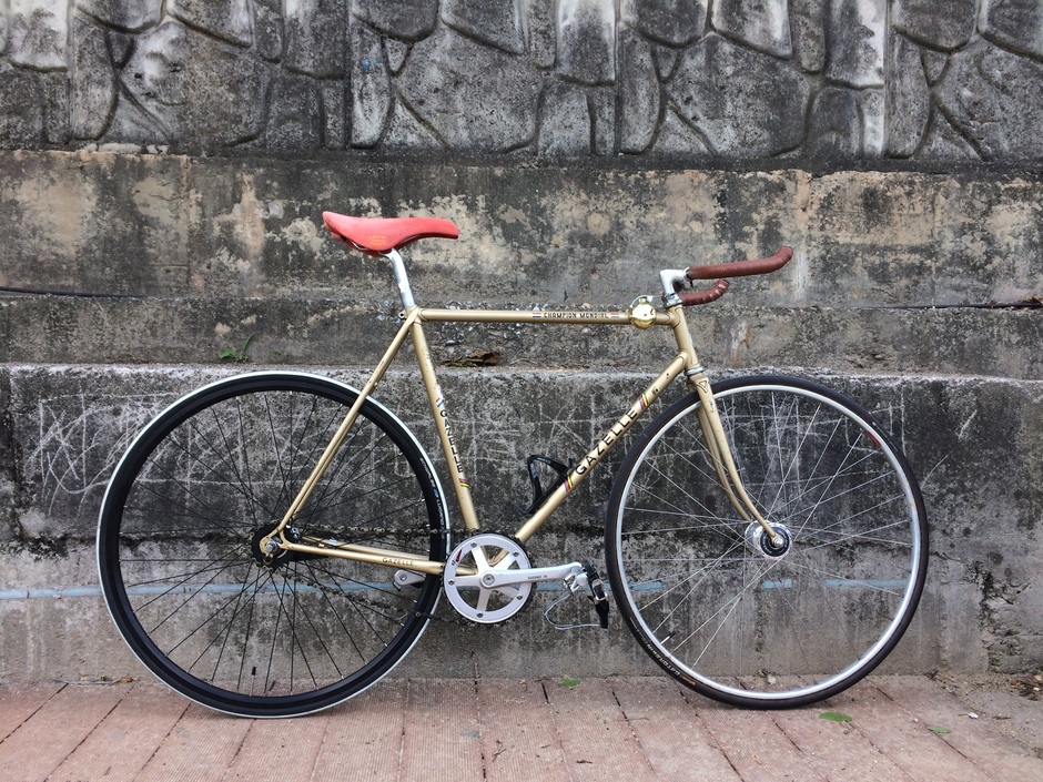 78 Gazelle Champion Mondial Pedal Room