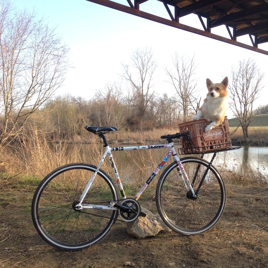 Corgi Carrier Pedal Room
