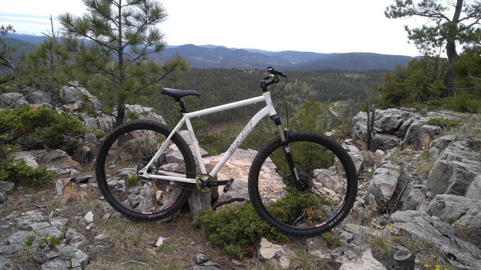 gravity 29er