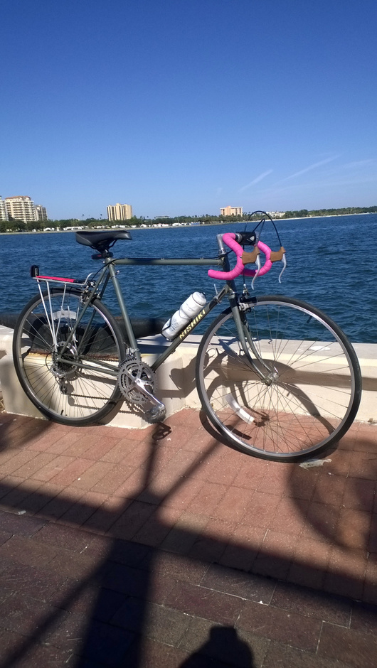 Nishiki royale shop road bike