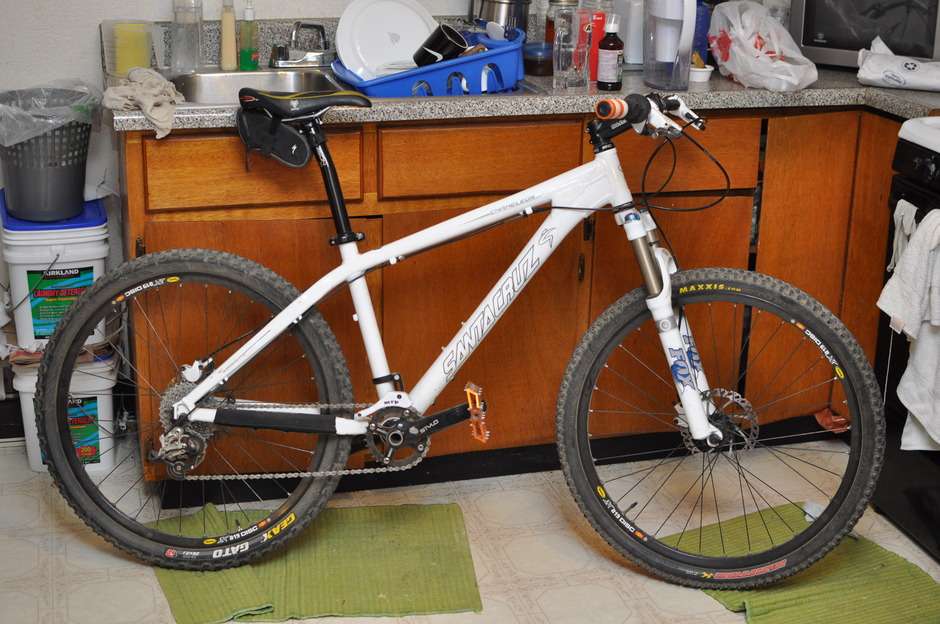 2007 santa cruz chameleon