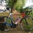 Cannondale CAAD5 Stars and Stripes