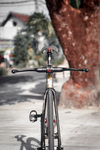 Colossi LowPro Special photo