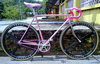 fixie pink spinergy revX matrixproJ3 photo