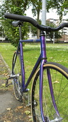 MINO DENTI- blue and purple fadeZ photo