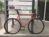 Pinarello Treviso Pista (Bike for Sale) photo