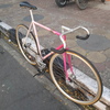 Samson NJS Sakura Pink white fade photo