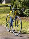 Scapin KR - Ukraine Olympic colours photo