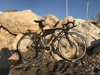 Specialized Langster 2015 photo