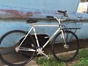 "Stainless" French Townie photo