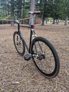 Surly Steamroller Tracklocross photo