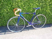 Lizzy's vintage Fuji Track