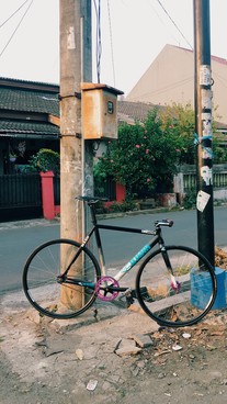 '12 Cinelli Mash Histogram