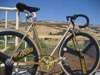 49cm Steel Lugged Fixed Track Bike