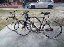 Ujang22 Fixie