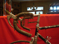 1953 Bianchi Campione Del Mondo