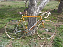 1963 Sears J.C. Higgins (Puch)