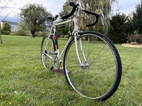 1969 Raleigh Professional