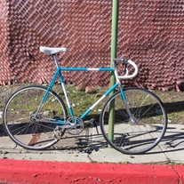 1972 Raleigh Professional pista photo