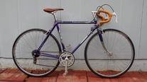 1973 Gitane Interclub