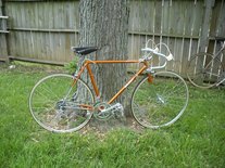 1974 Raleigh International photo