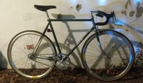 1974 Raleigh Professional