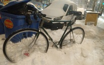 1974 Raleigh Professional