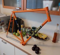 1981 Eddy Merckx Professional photo