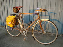 1981 Trek 613