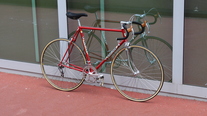 1982 Colnago Saronni photo