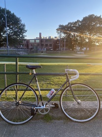 1983 Fuji Espree "nimbus"